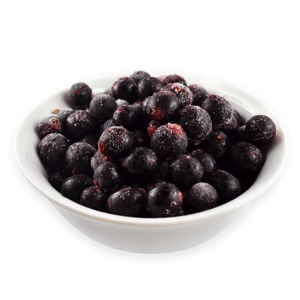 Black Currant Berries Bowl PNG