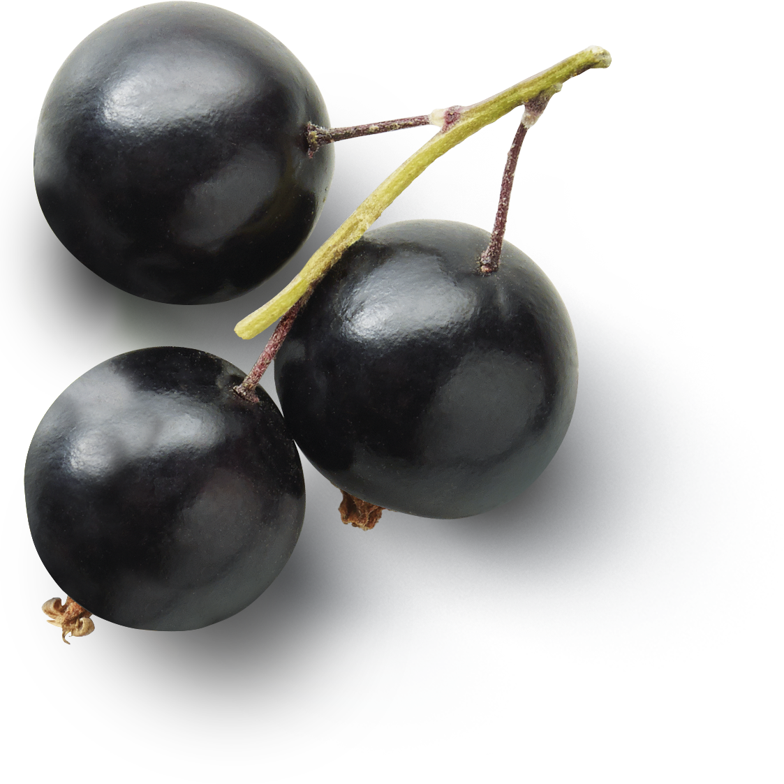 Черные ягоды смородины фрукты PNG