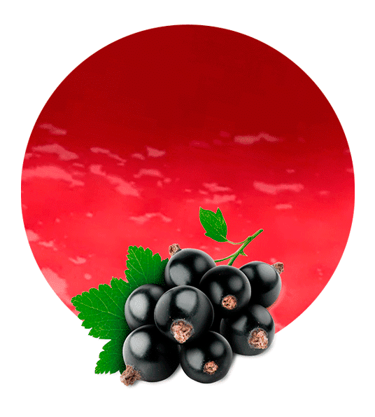 Черные ягоды смородины значок PNG