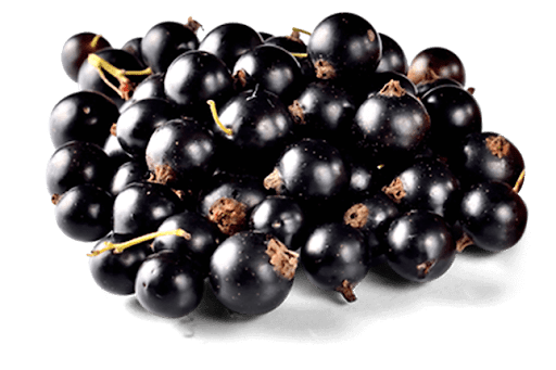 Черные ягоды смородины PNG