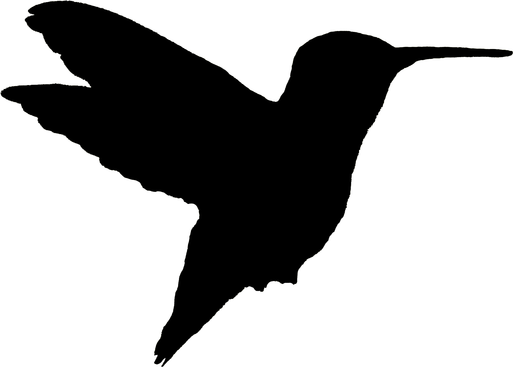 Fichier PNG de colibri volant noir