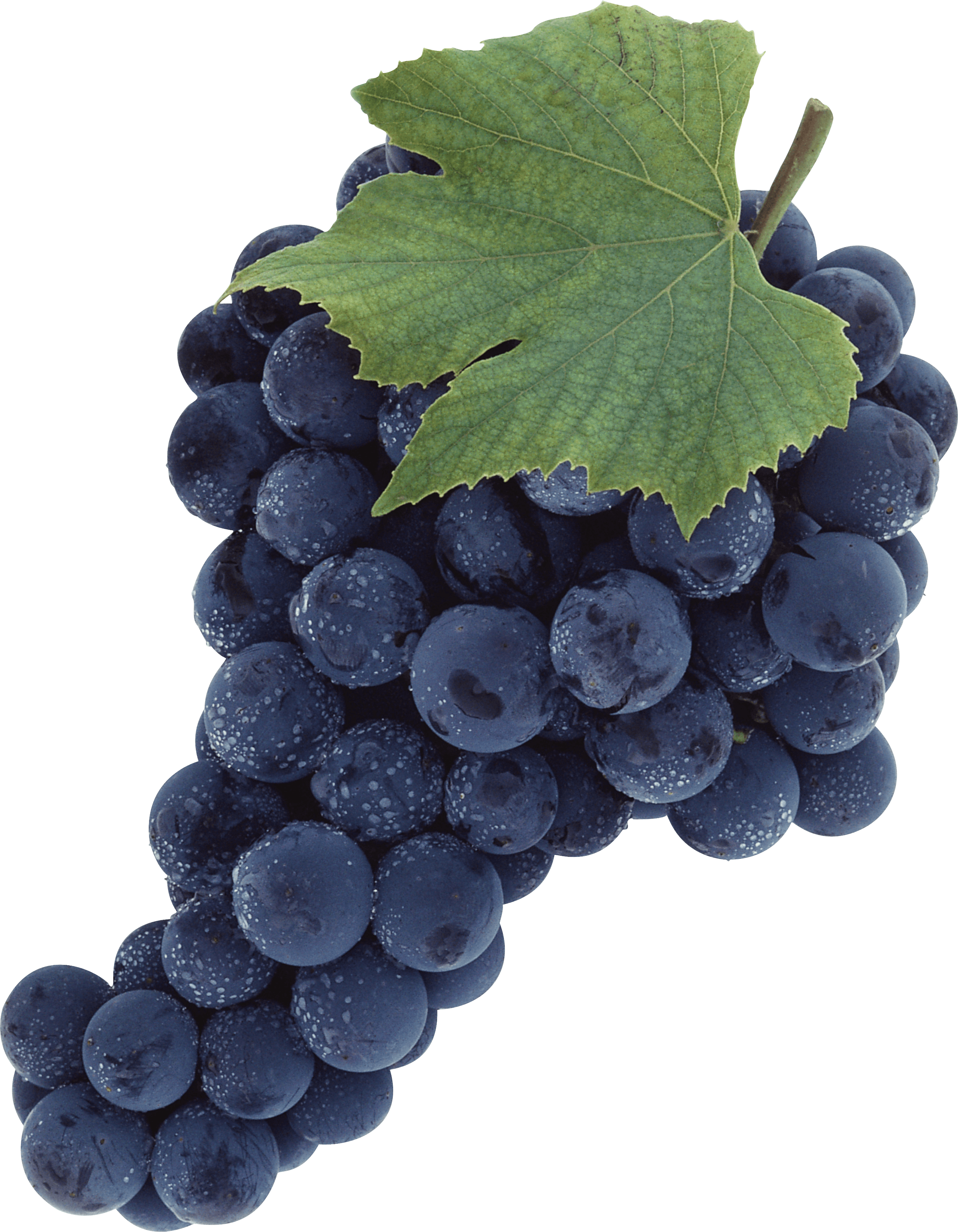 Zwarte druiven organische Transparante PNG