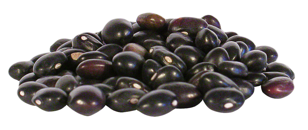 Black Kidney Beans PNG