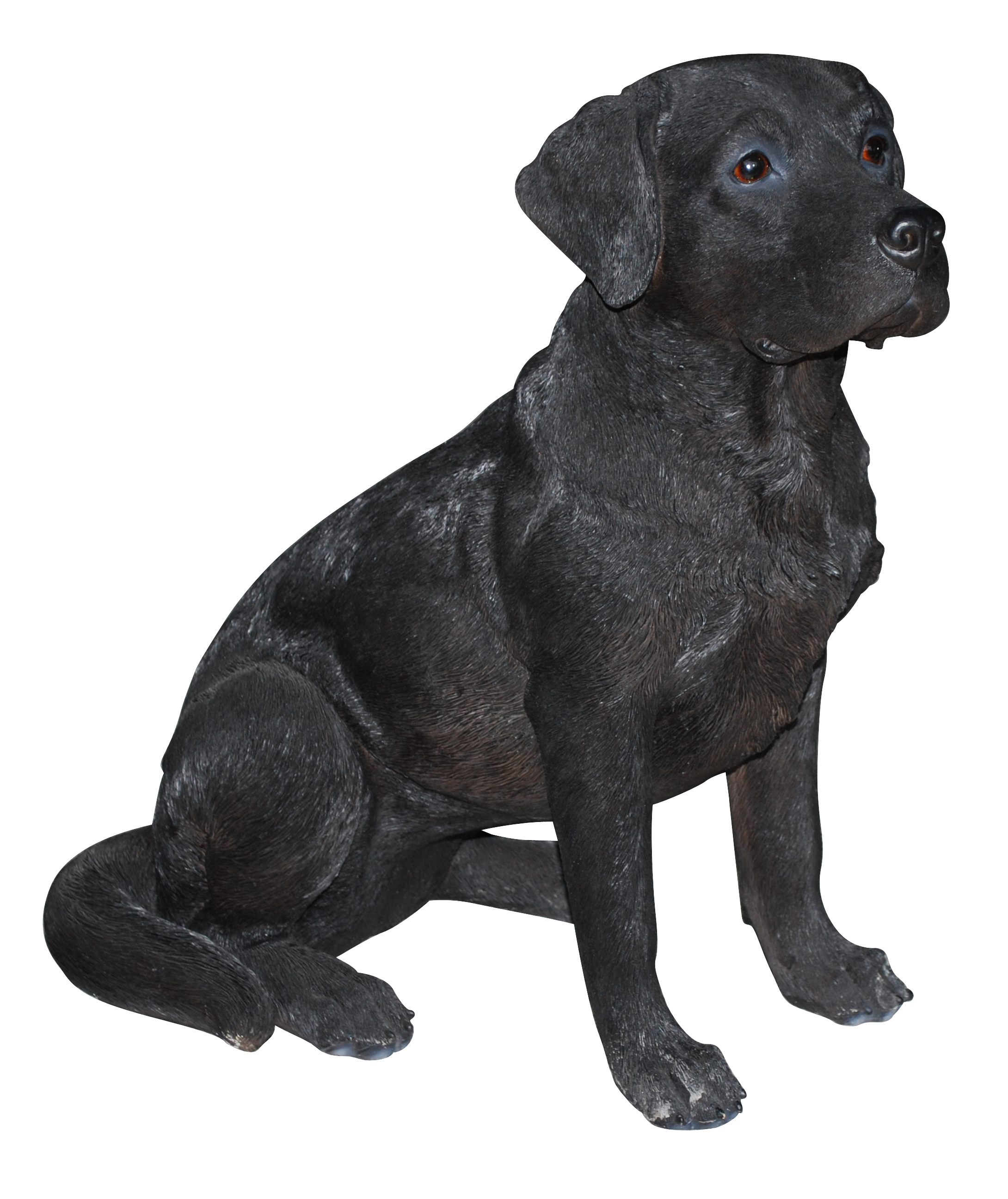 Schwarzer Labrador-Hund Retriever, der PNG sitzt