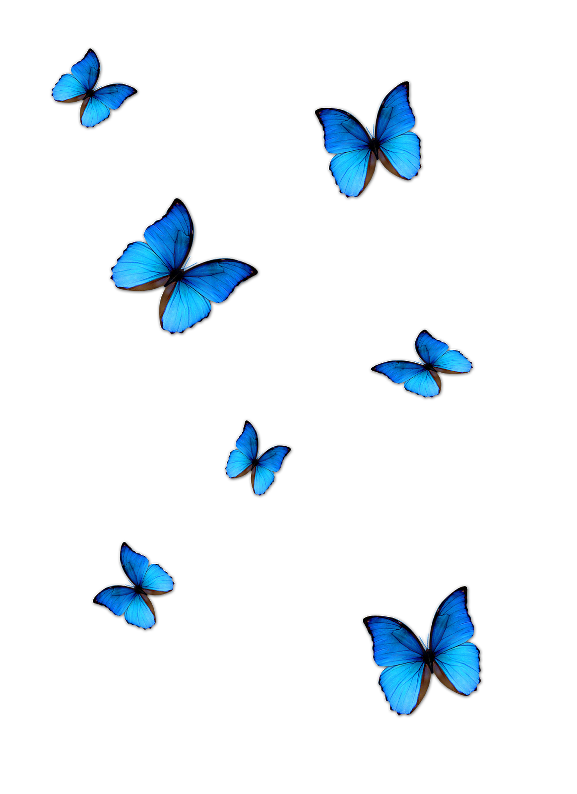 Mavi kelebek şeffaf PNG