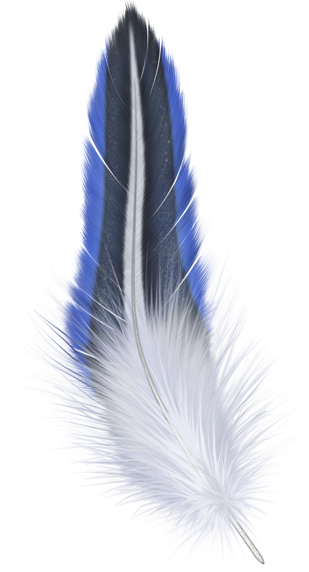 Blue Feather Background PNG