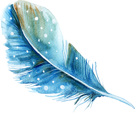 Blue Feather PNG Background Image