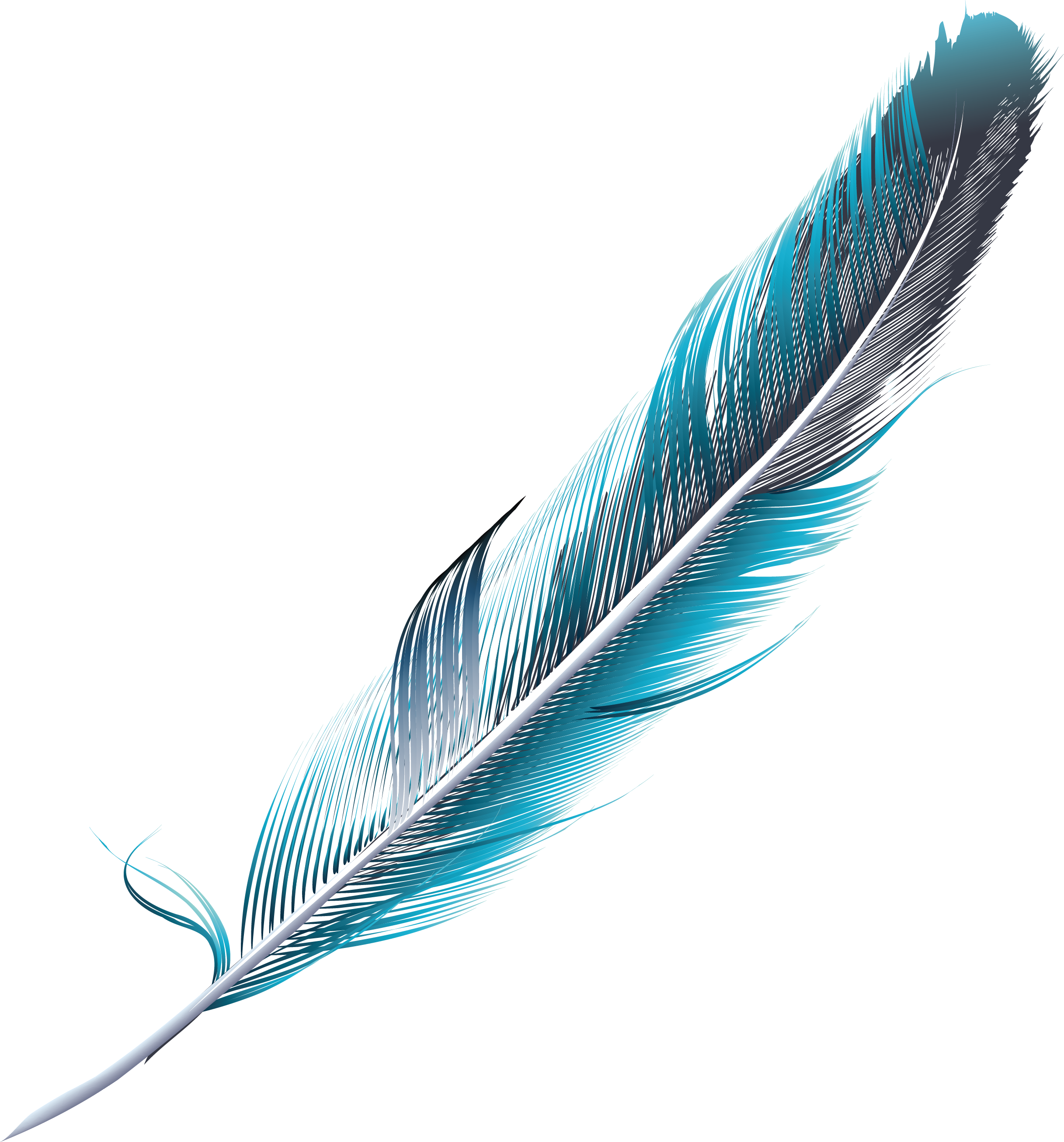 Blue Feather PNG Clipart