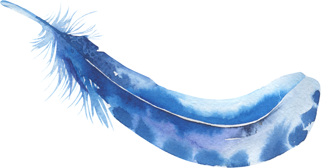 Blue Feather PNG Photo