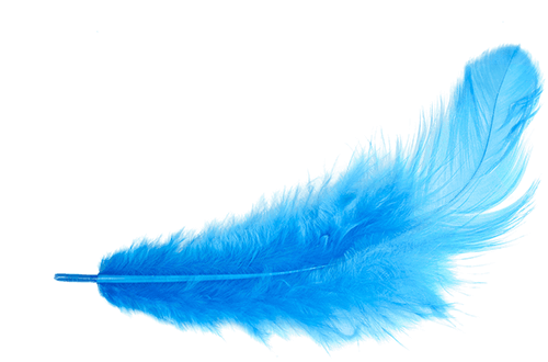 Blue Feather PNG Transparent HD Photo