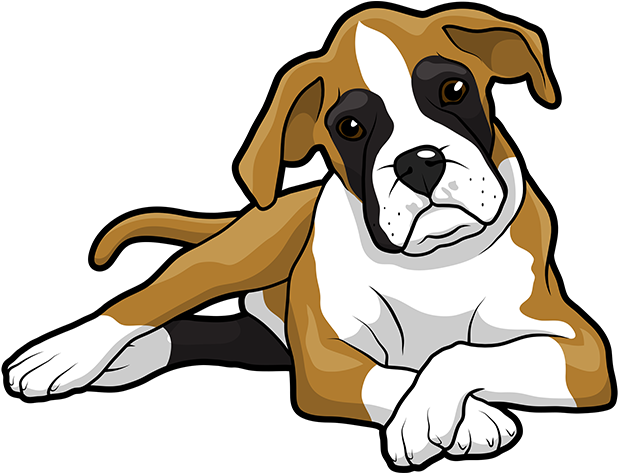 Boxer Dog Sitting Clipart PNG
