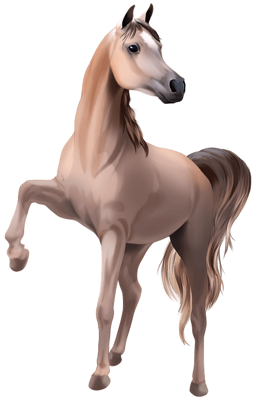 Imagem transparente de cavalo árabe marrom