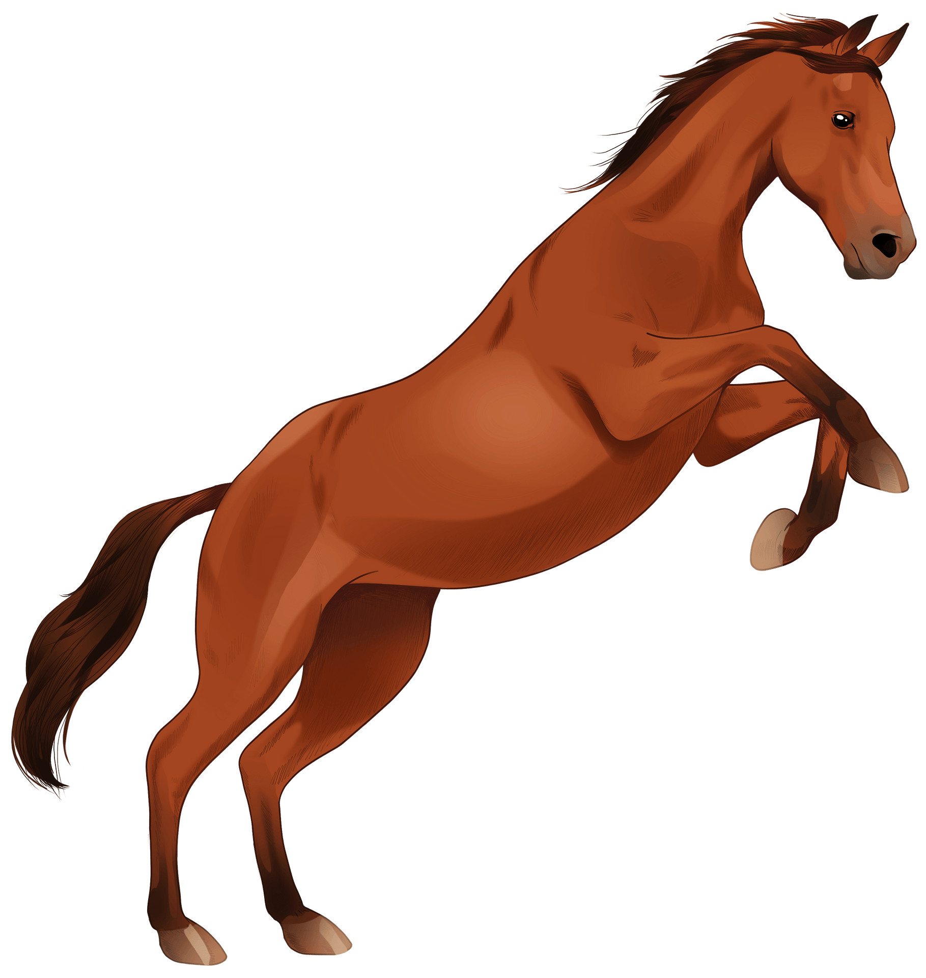 Kahverengi Arap atı şeffaf PNG