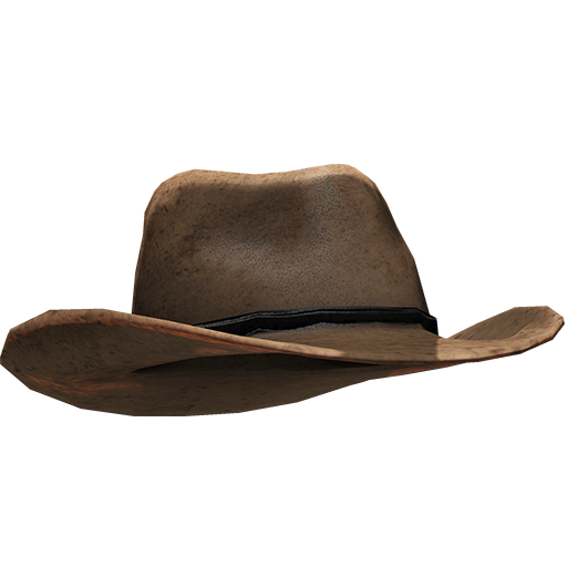 Chapeau de cow-boy brun PNG Clipart