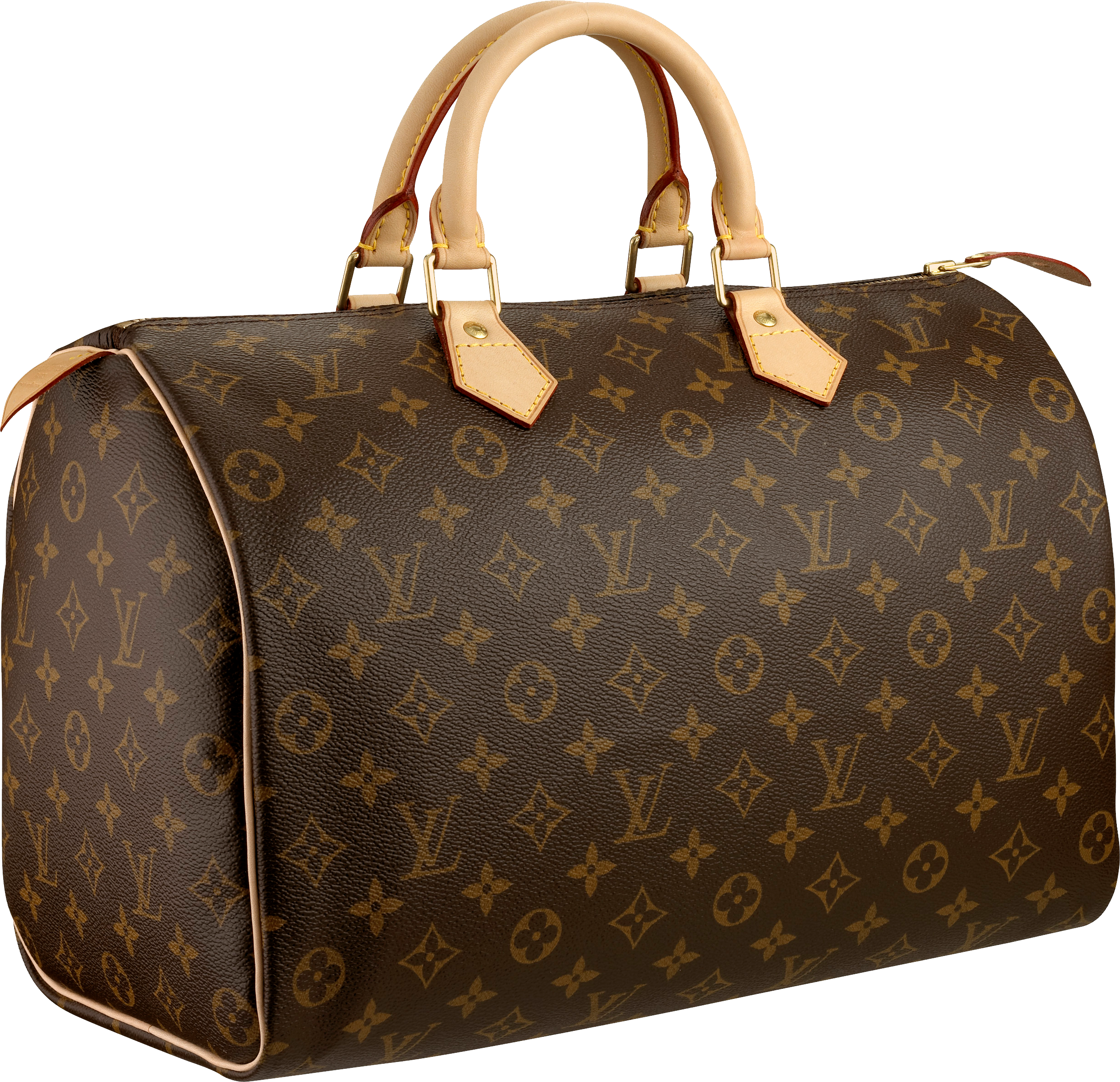 Brown Ladies Handbag PNG