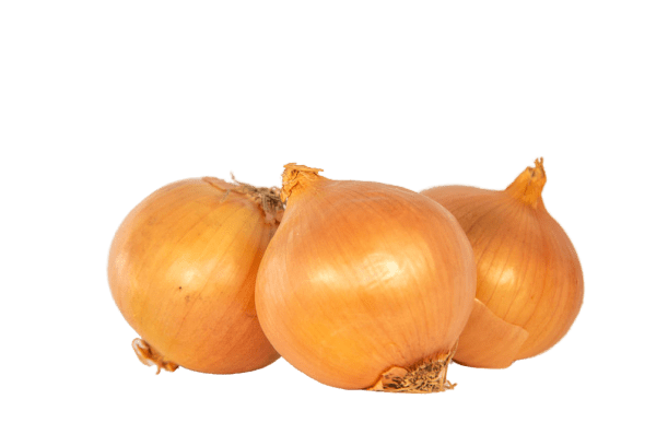 Brown Onion PNG Photos