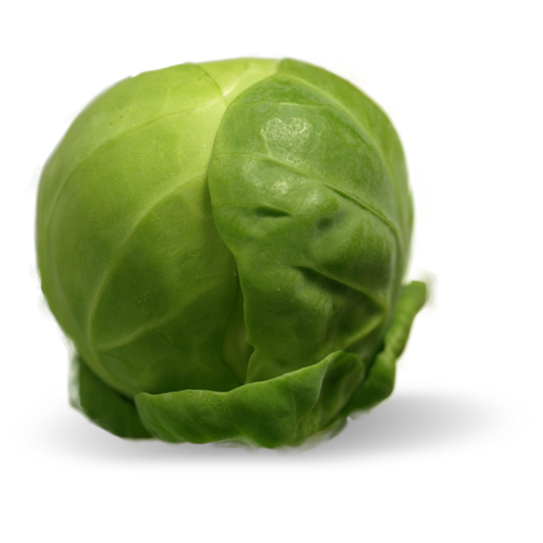 Brussels Sprouts PNG Gambar Transparan