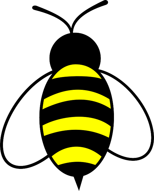 Bumble Bee Trail Drawing PNG