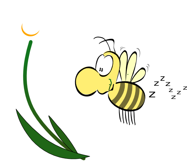 Bumblebee madu lebah vektor latar belakang Transparan