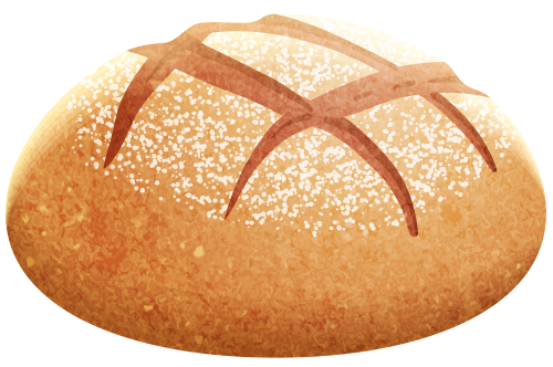 Bun Bread Vector PNG File