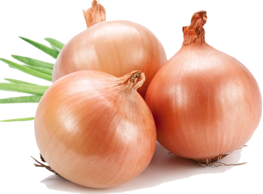 Bunch Brown Onion PNG Pic