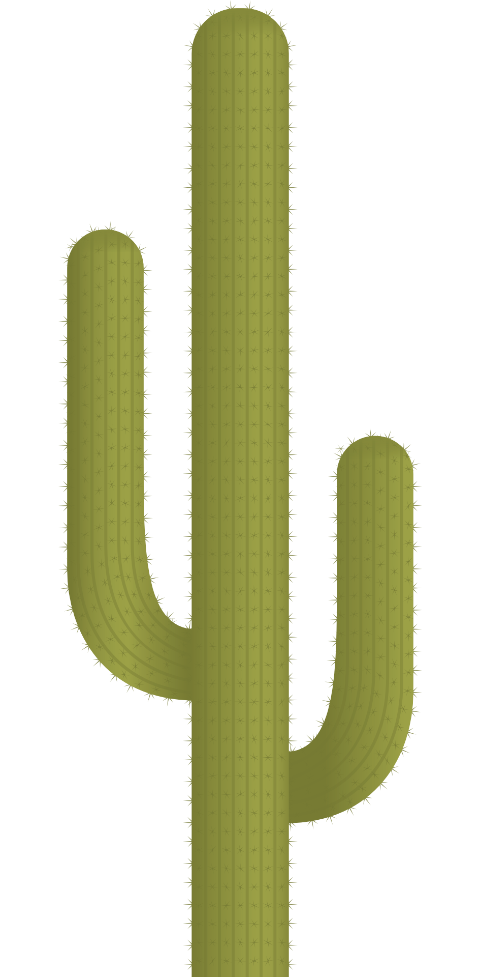 Cactus plant vector PNG File
