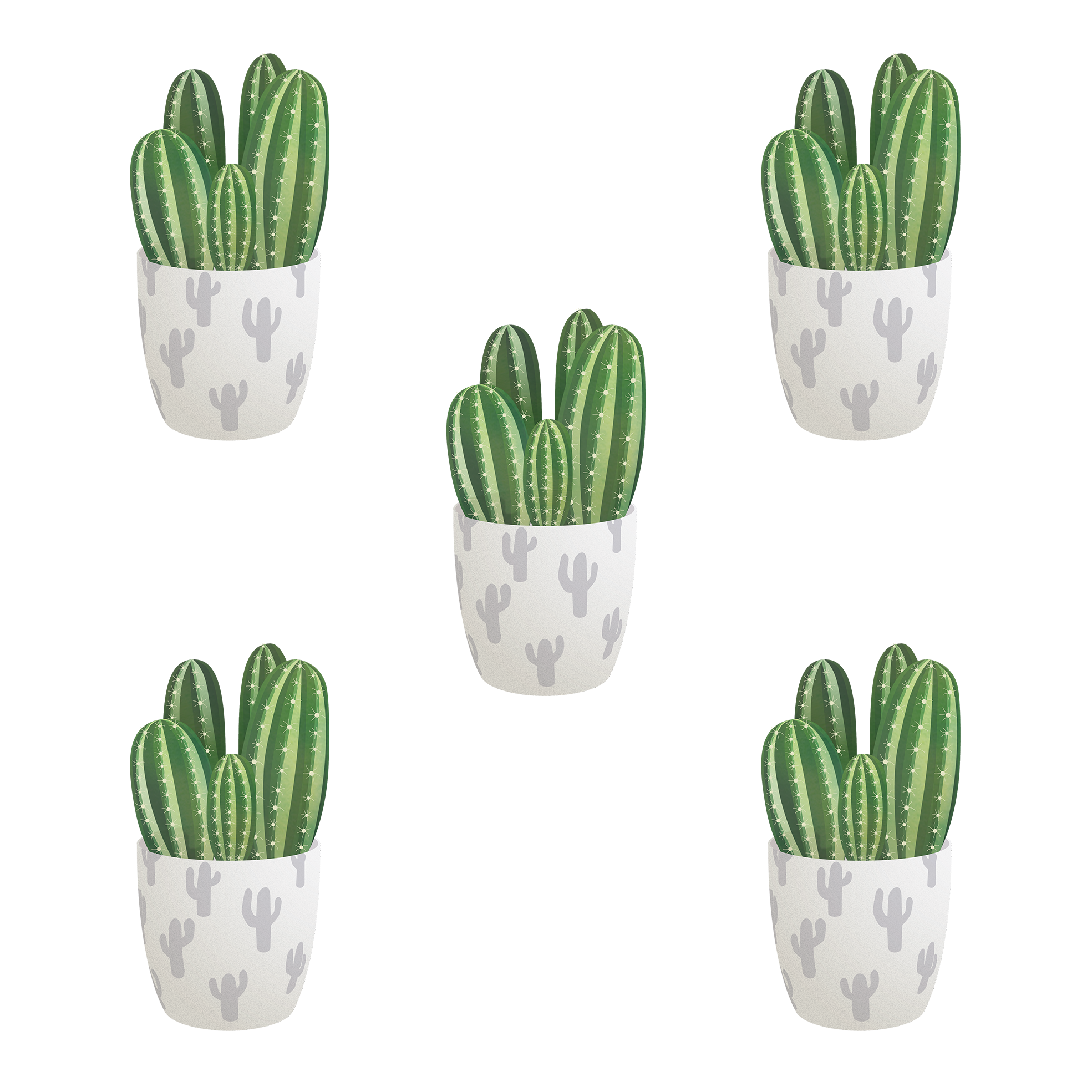 Cactus plant vector PNG Image