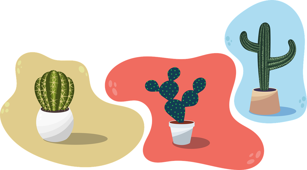 Cactus plant vector Transparent PNG