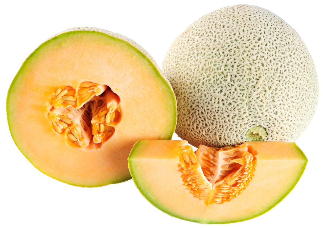 Cantaloupe PNG Clipart
