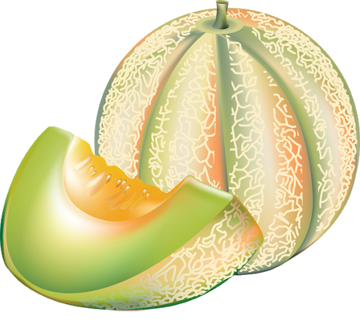 Cantaloupe PNG прозрачное изображение