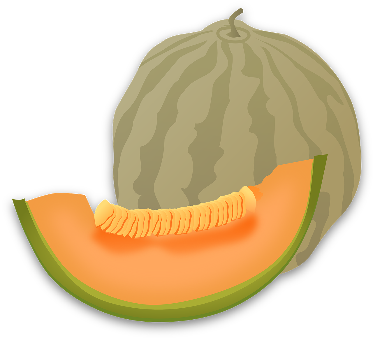 Cantaloupe Slices PNG Clipart