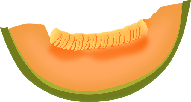 Cantaloupe plakjes PNG-afbeelding