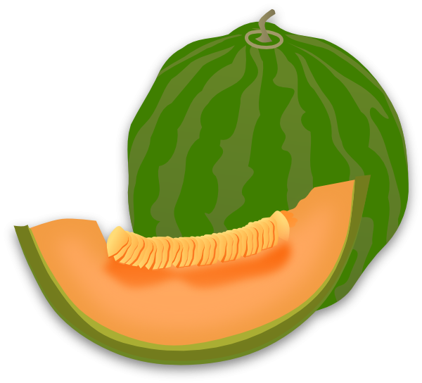 Cantaloupe Slices Transparent PNG