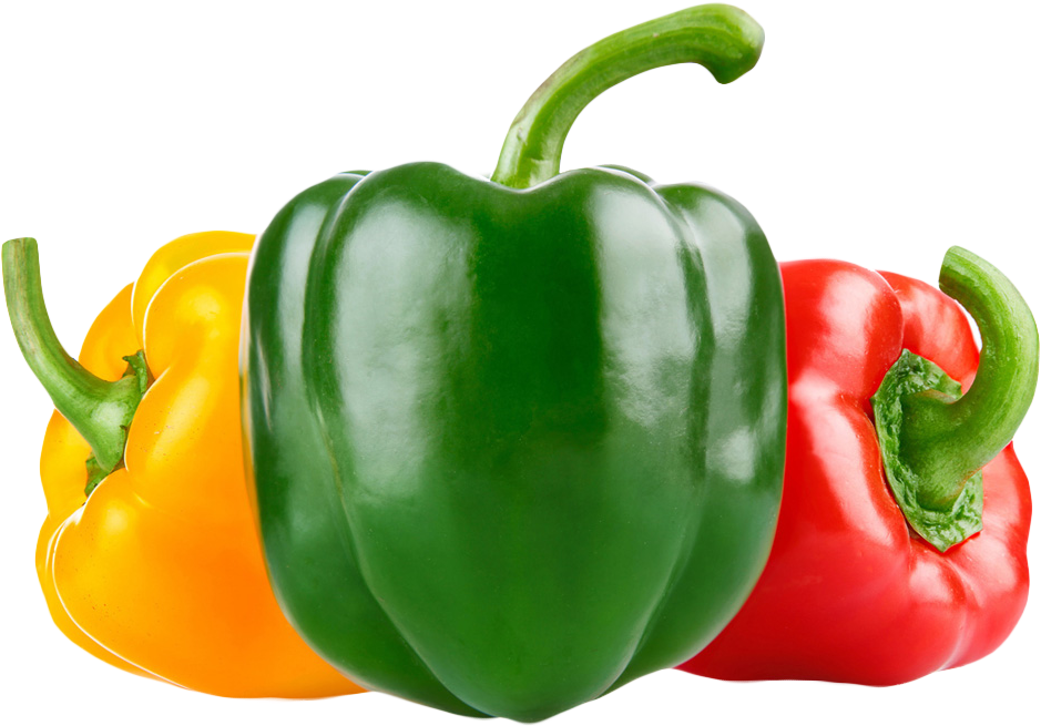 Capsicum sino pping PNG