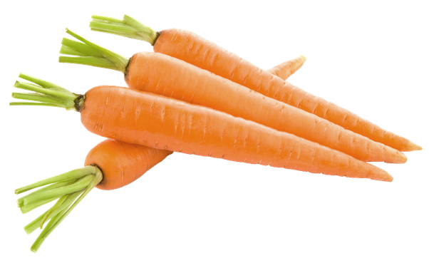 Karottenscheiben PNG-Bild