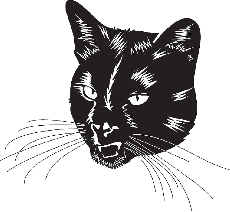 Кошка вектор PNG прозрачное изображение