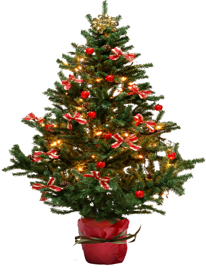 Christmas fir-tree lights PNG