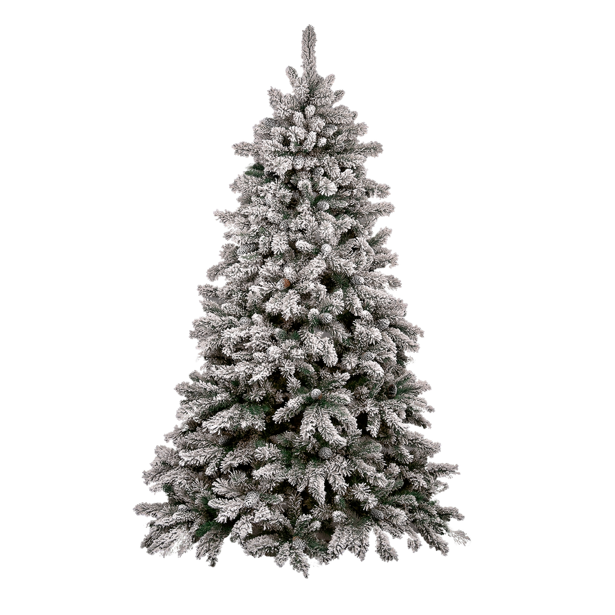 Noel köknar ağacı kar PNG