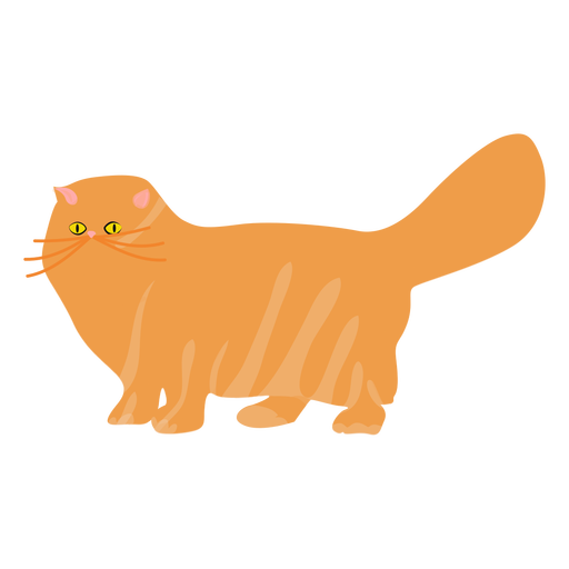 Clipart kedi vektör PNG Görüntüsü