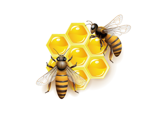 Clipart bal arısı vektör şeffaf PNG