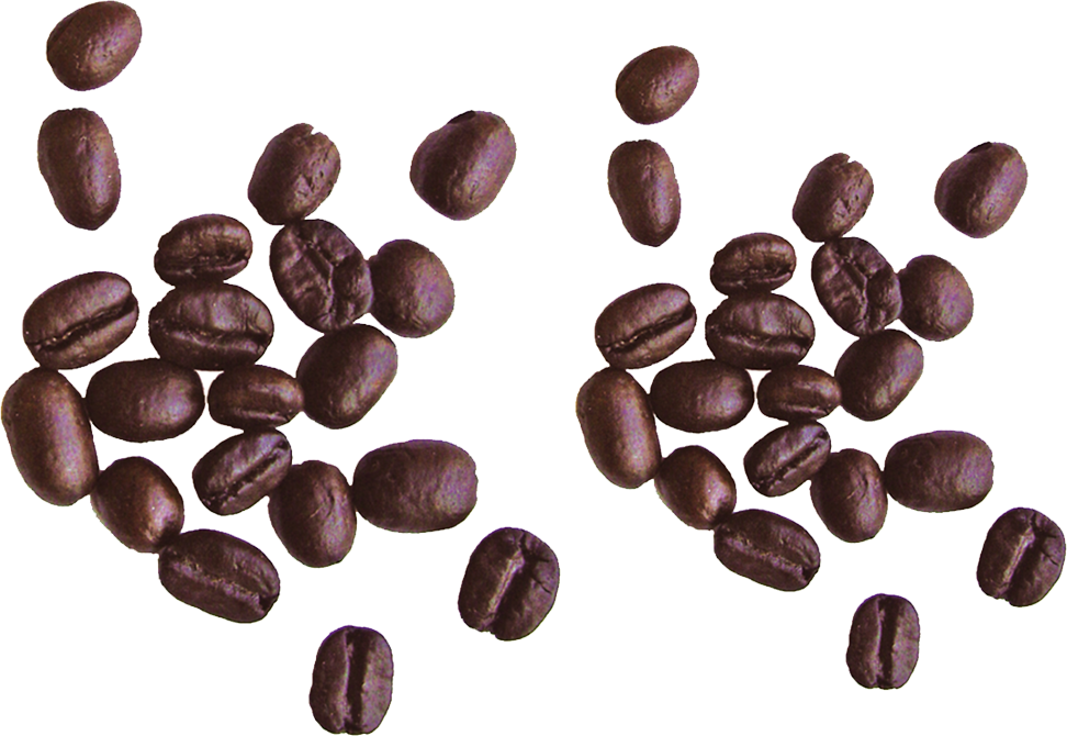 Coffee Falling Beans PNG