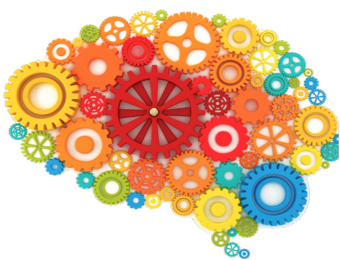 Colored Brain Gears Vector PNG