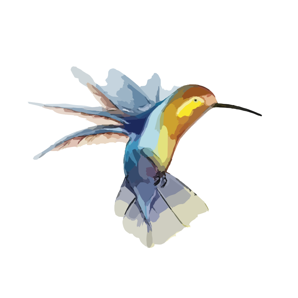 Bunte fliegende Kolibri-PNG-Clipart