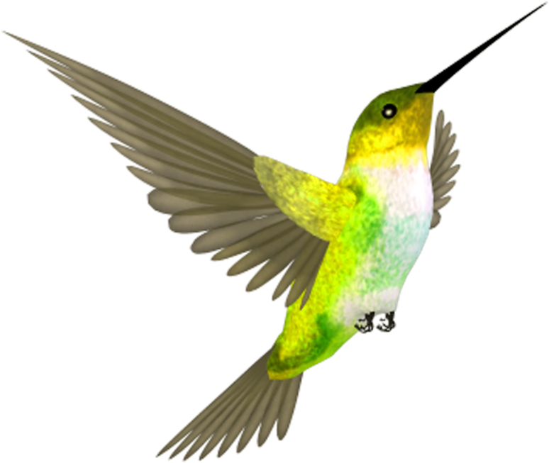 Colorful Flying Hummingbird PNG File