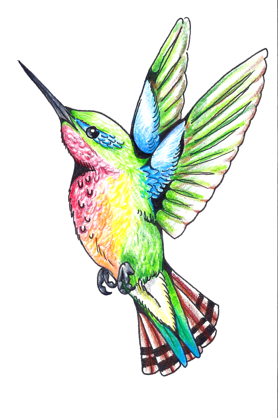 Красочные летающие колибри PNG Image