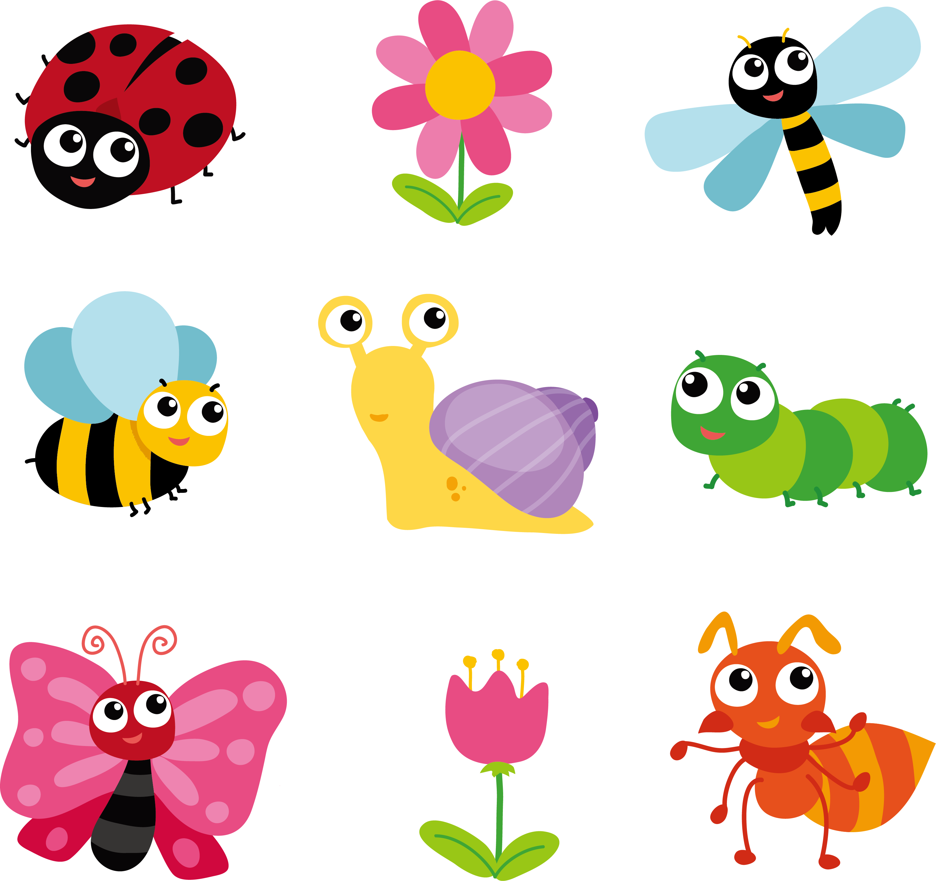 Leuke insect PNG Clipart