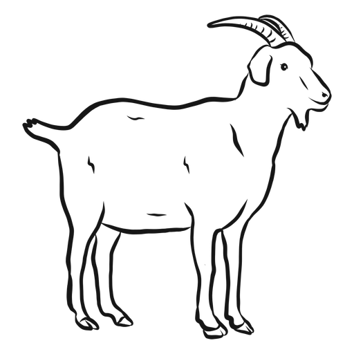 Drawing Vector Goat PNG