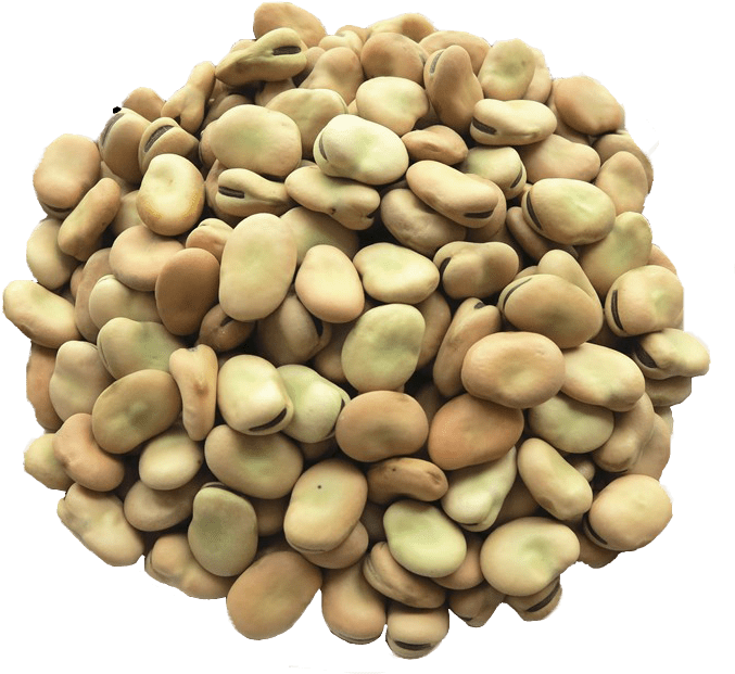 Dried Beans PNG
