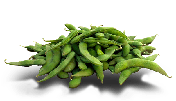Edamame Bean PNG Picture