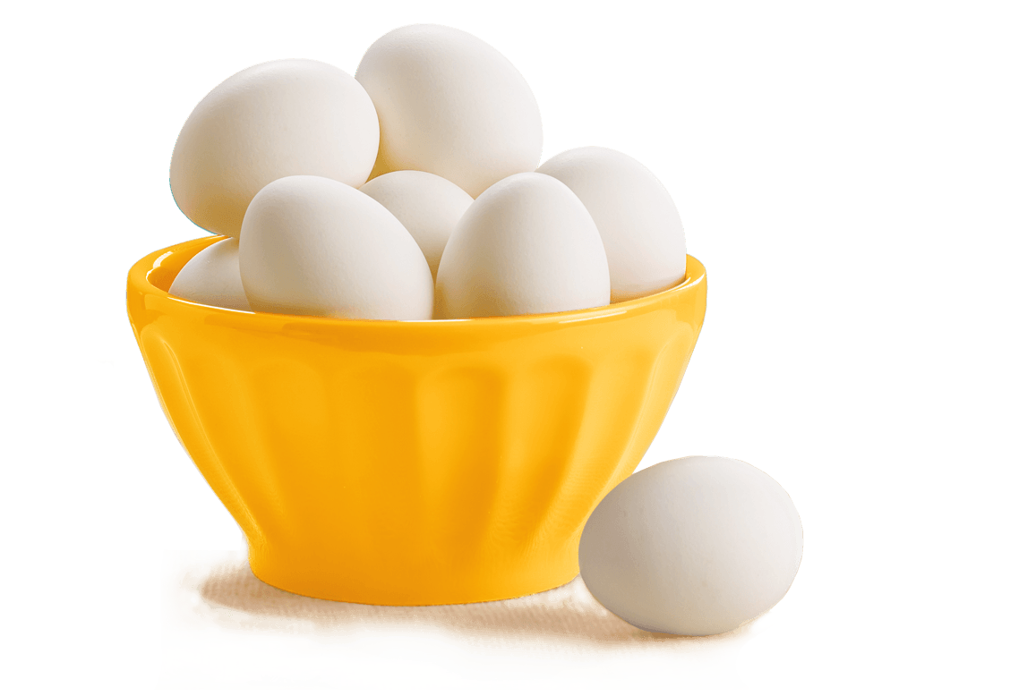 Egg Bowl PNG Clipart